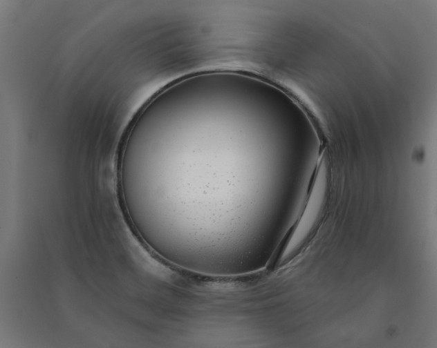 X0000091061468200708201334