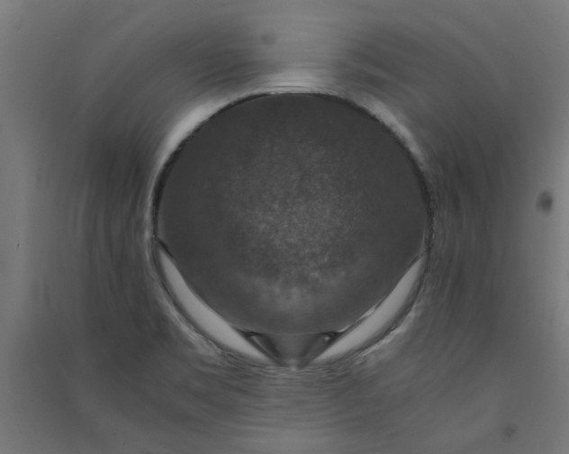 X0000091061469200708201334