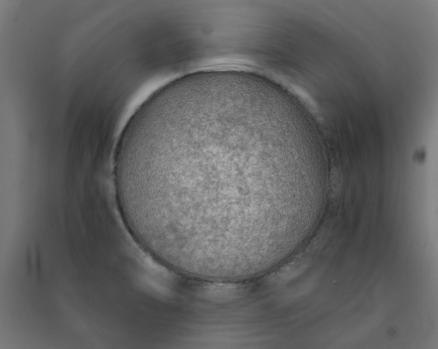 X0000091061470200708201334