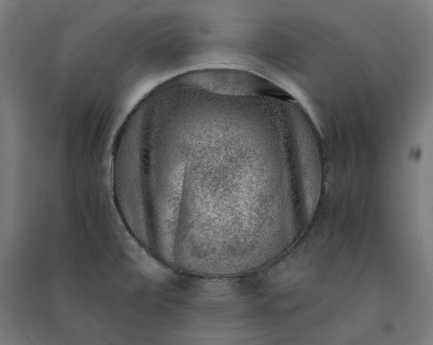 X0000091061472200708201334