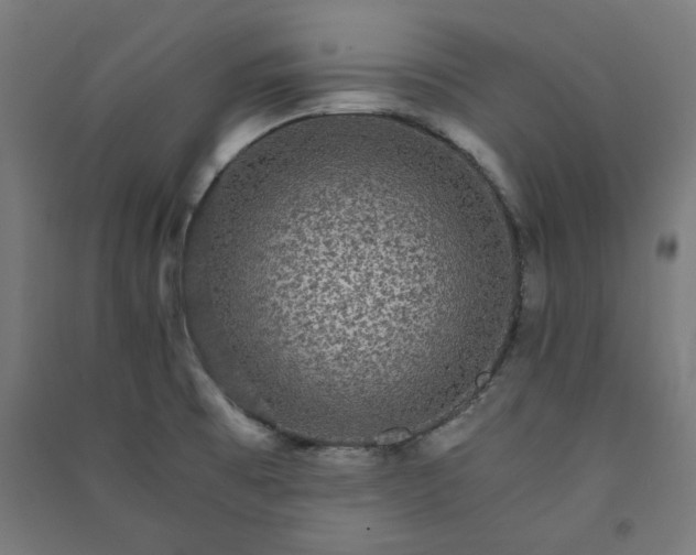 X0000091061473200708201334