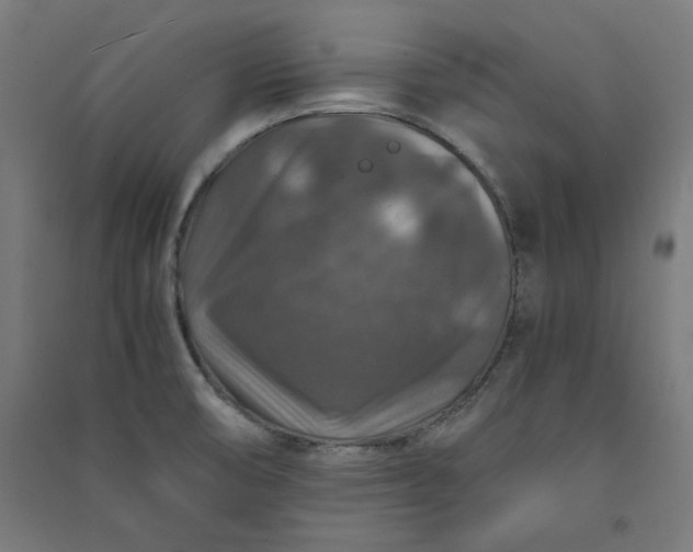 X0000091061474200708201334