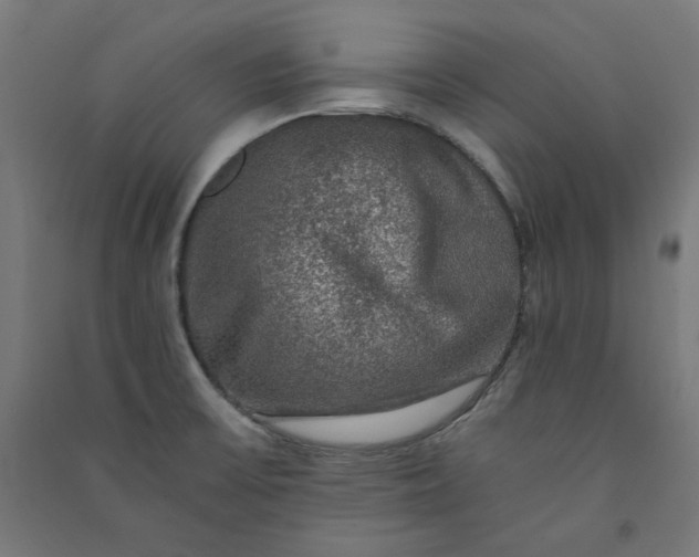 X0000091061475200708201334