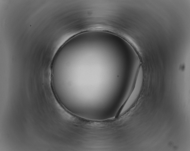 X0000091061476200708201334