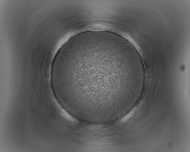 X0000091061477200708201334