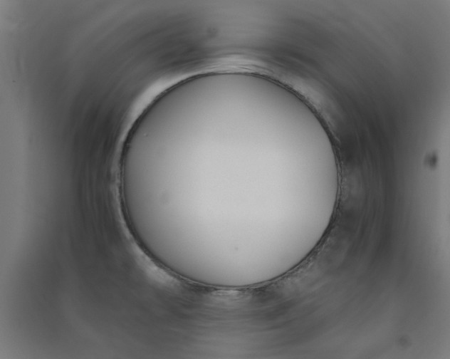 X0000091061478200708201334