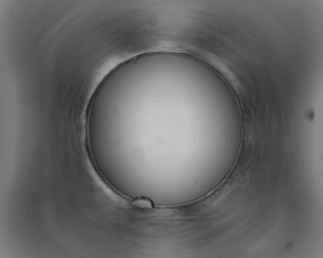X0000091061479200708201334