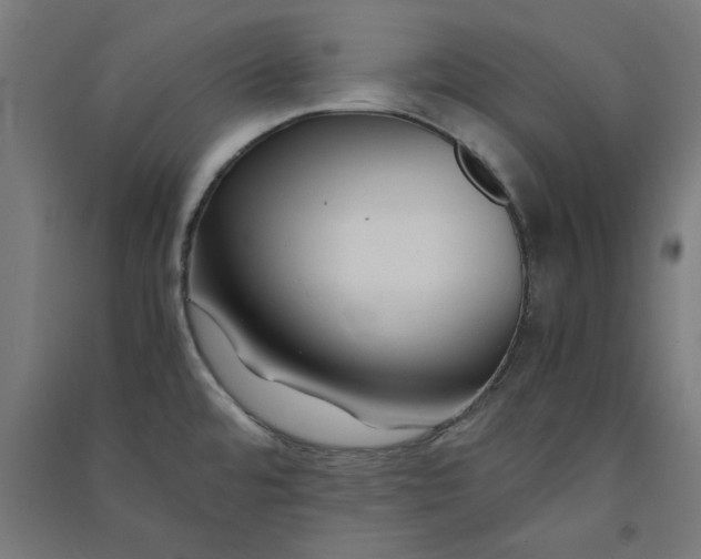 X0000091061480200708201333