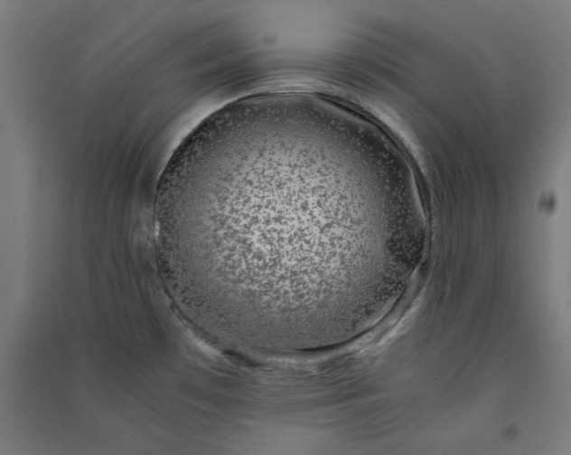 X0000091061481200708201333