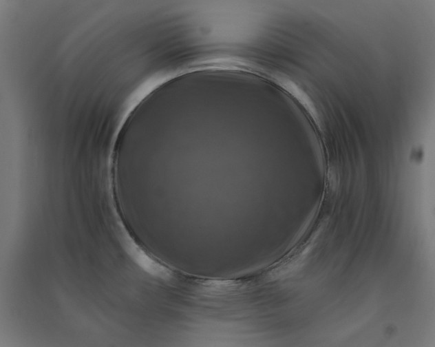 X0000091061482200708201333