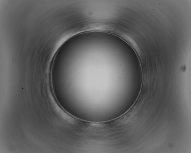 X0000091061483200708201333