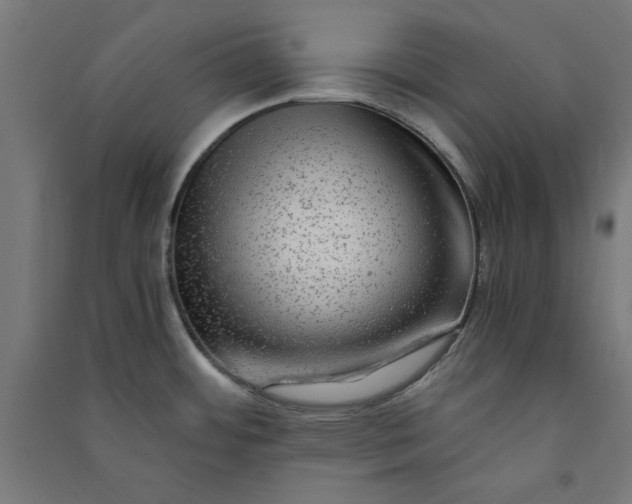 X0000091061484200708201333
