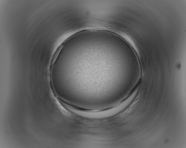 X0000091061485200708201333
