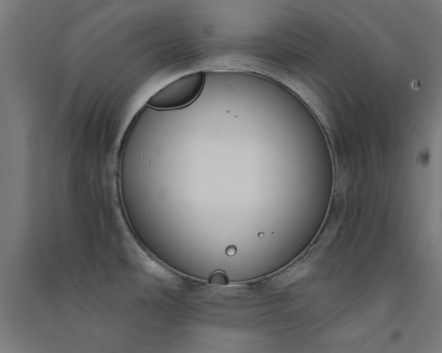 X0000091061486200708201333