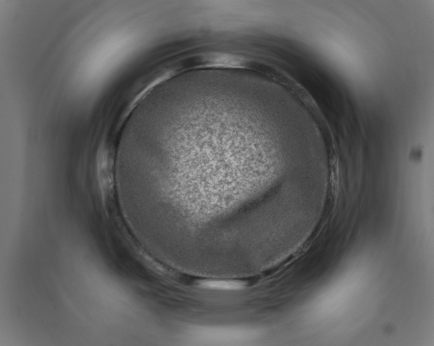 X0000091061487200708201333