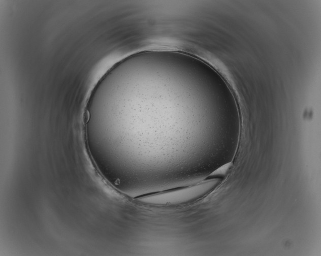 X0000091061488200708201333