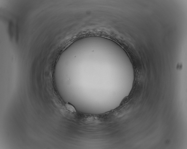X0000091061489200708201333