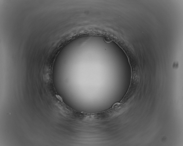 X0000091061490200708201333