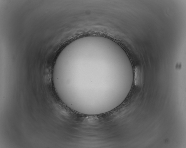 X0000091061491200708201333