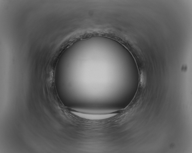 X0000091061492200708201333