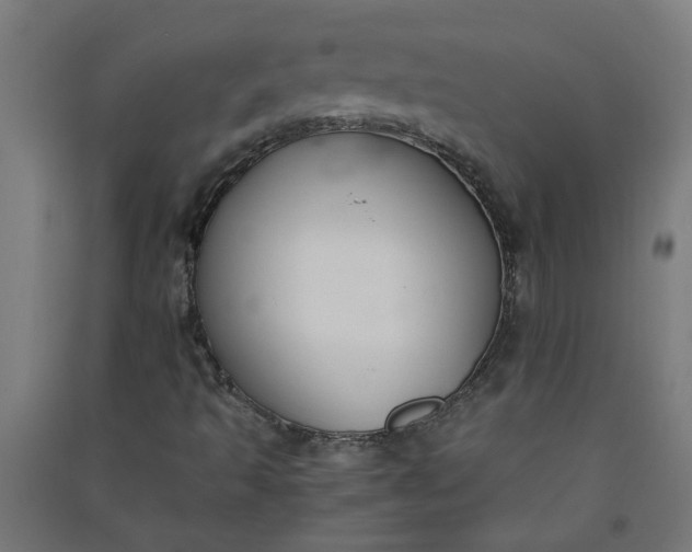 X0000091061493200708201333
