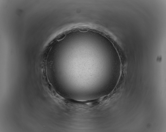 X0000091061496200708201333