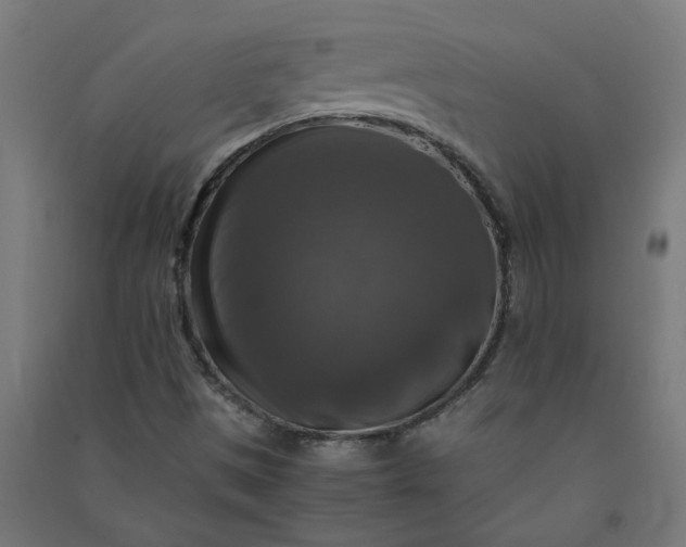 X0000091061497200708201333