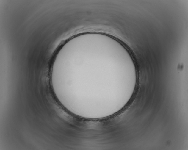 X0000091061498200708201333