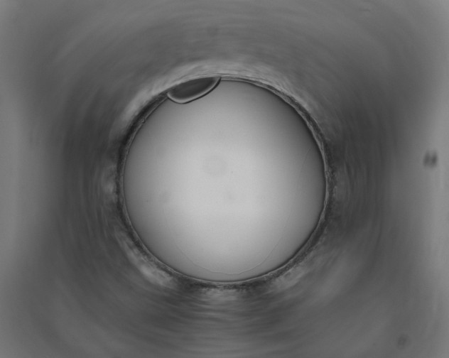 X0000091061499200708201333