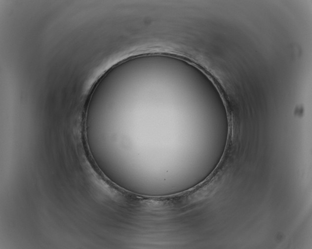 X0000091061500200708201333