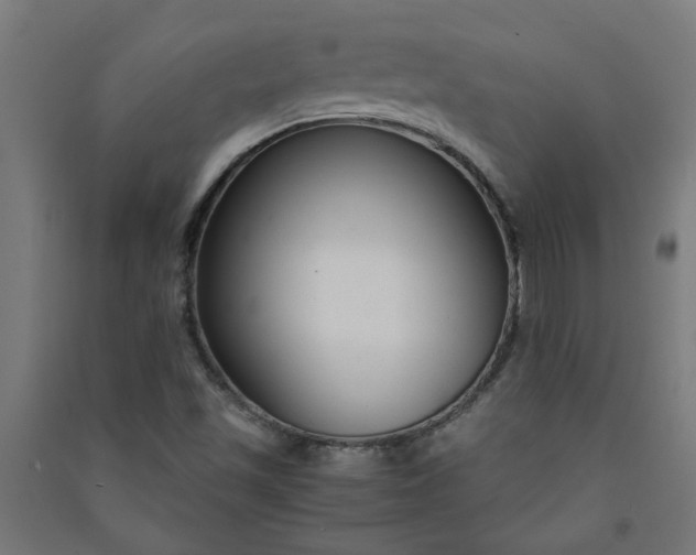 X0000091061501200708201333