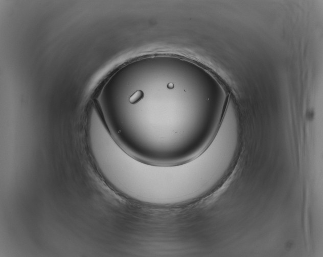 X0000091061502200708201333