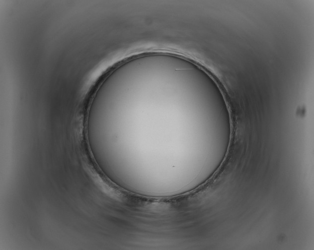 X0000091061503200708201333