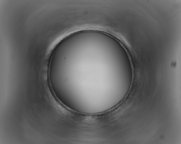 X0000091061504200708201333