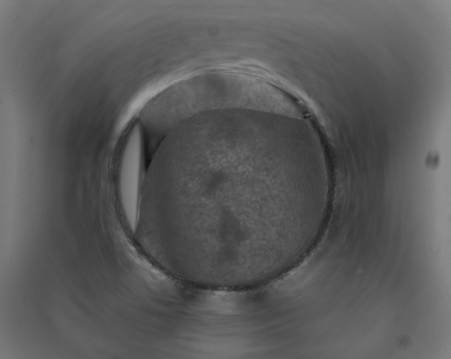 X0000091061506200708201333