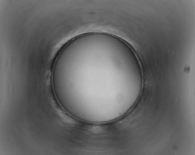 X0000091061507200708201333