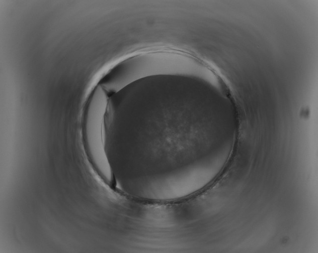 X0000091061508200708201333