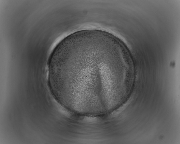X0000091061509200708201333