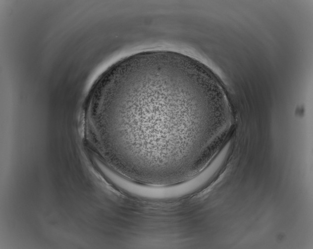 X0000091061510200708201333