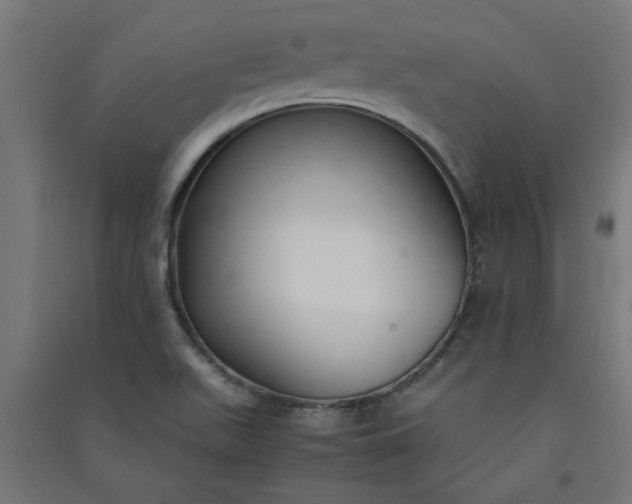 X0000091061511200708201333