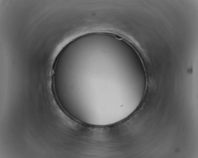 X0000091061512200708201333