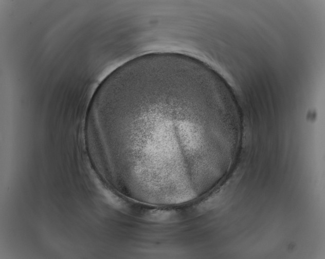 X0000091061513200708201333