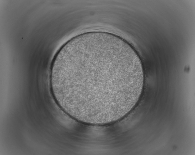 X0000091061514200708201333