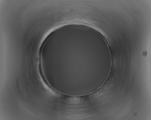 X0000091061515200708201333