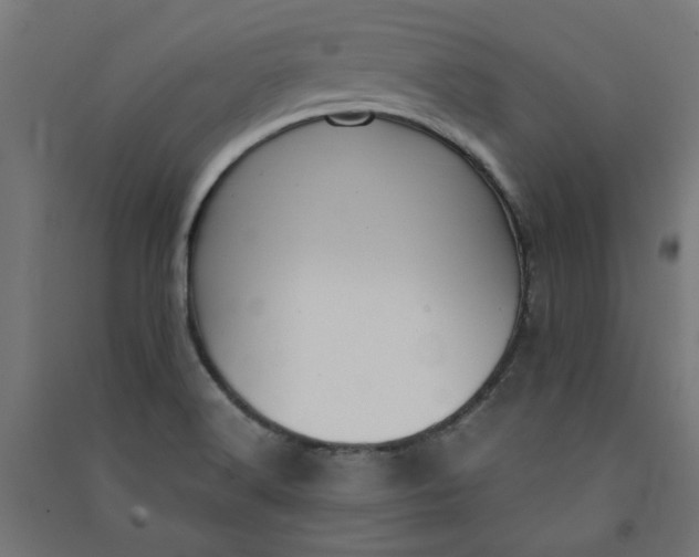 X0000091061516200708201333