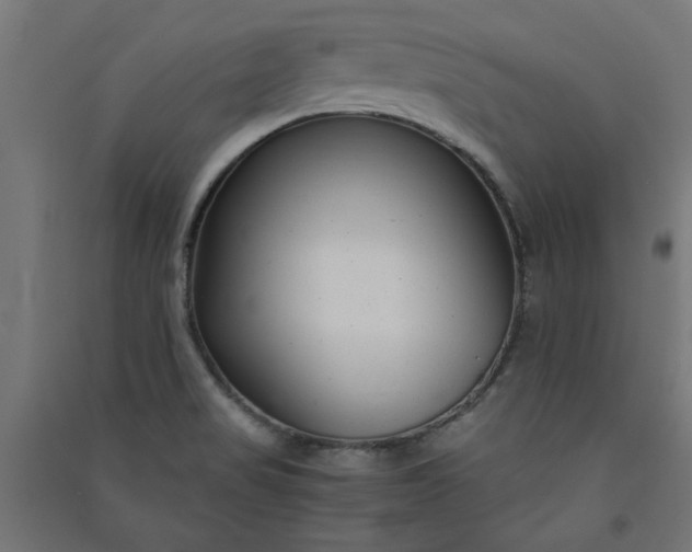 X0000091061517200708201333