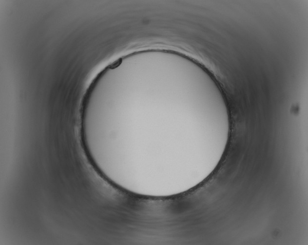 X0000091061518200708201333