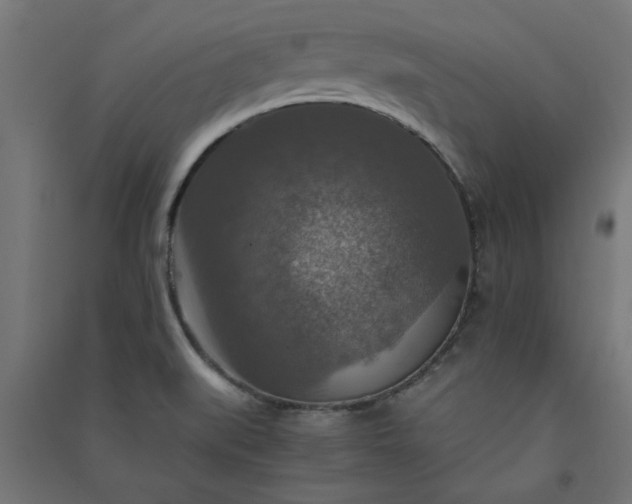 X0000091061519200708201333