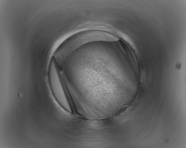 X0000091061520200708201333