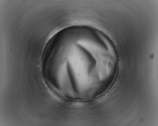 X0000091061521200708201333